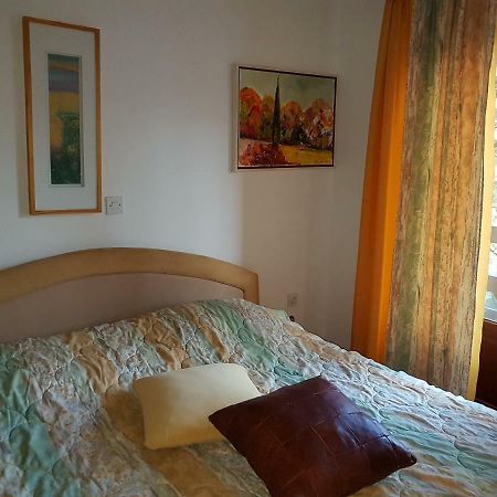 Apartment Slavi Vipava Exterior foto