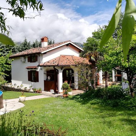 Apartment Slavi Vipava Exterior foto
