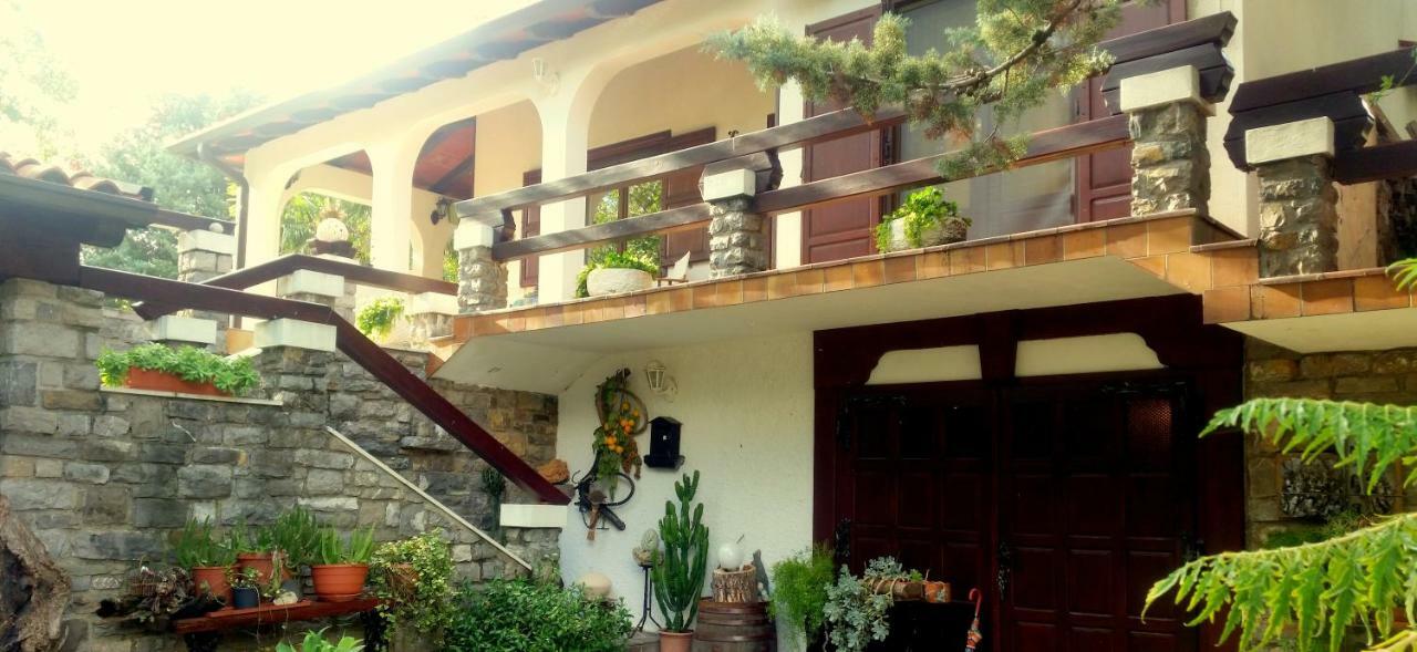 Apartment Slavi Vipava Exterior foto